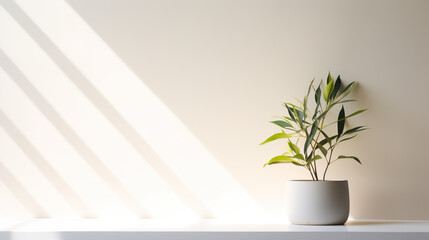 A Minimalistic light Background with blurred foliage shadow on a white wall. Beautiful background for presentation with with smooth floor.