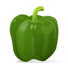 Green pepper. Vector illustration isolated on white background.