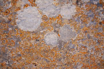 Grunge wall texture. Grunge background. Wall fragment with scratches and cracks