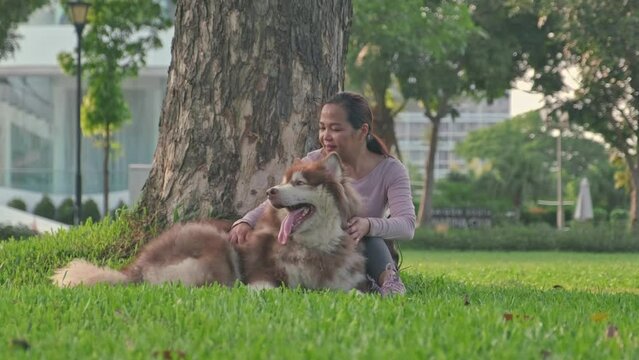 Asian woman sitting with dog on grass and stroking its fur in big city park at summertime