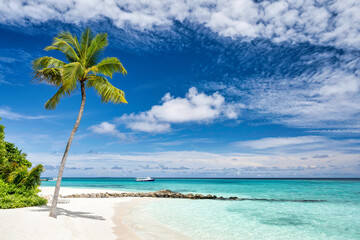 Island on the maldives - 644534457