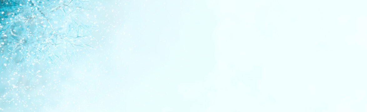 Festive light blue Christmas banner, abstract composition, branches in snow
