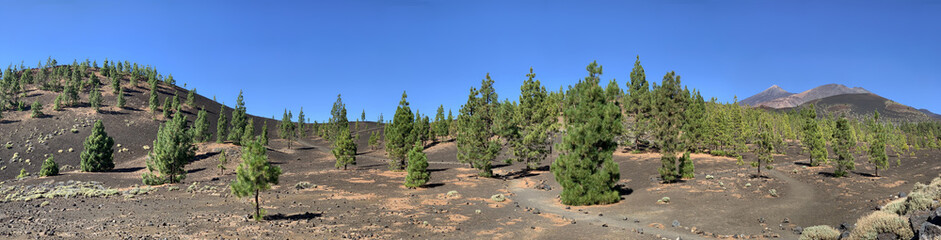Fototapeta na wymiar beautiful panoramic landscape with view of Teide volcano, Canary Islands, Tenerife