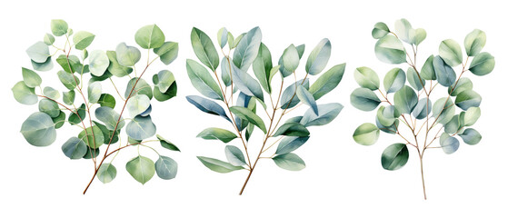 Watercolor eucalyptus branch set. Floristic design elements. AI Generative 