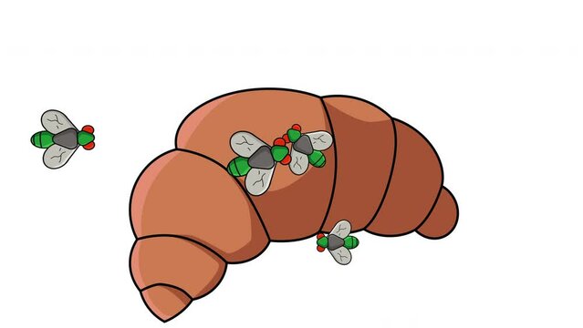 Animation of a Croissant being surrounded by flies