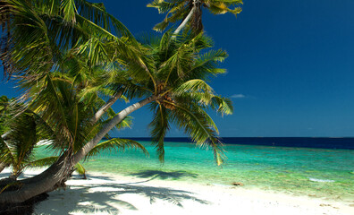 untouched tropical beach - 644544099