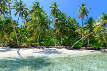 untouched tropical paradise - 644544287