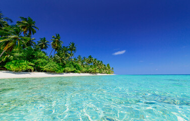 Tropical Island on the Maldives