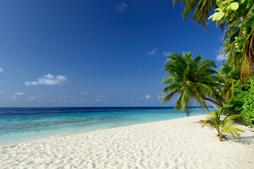 Tropical beach on the Maldives - 644544645