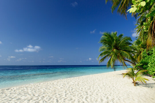 Tropical beach on the Maldives