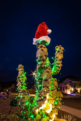 A totem pole cactus lit up with Christmas lights and a Santa hat in front of a home in the evening.