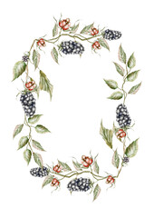 Oval vintage frame with black blackberries on branches and white flowers watercolor
