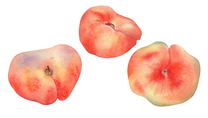 Set of chinese flat fig peaches pink watercolor illustration isolated on white. Watercolor painted pink fruits drawing. Food illustration hand drawn, design element for package, label