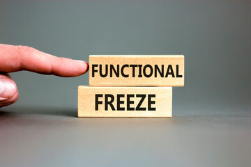 Functional freeze symbol. Concept words Functional freeze on beautiful wooden blocks. Beautiful grey background. Businessman hand. Business psychology functional freeze concept. Copy space.