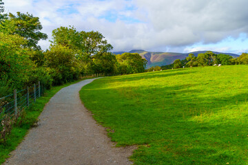 Fototapeta na wymiar Footpath, trees, grass, sheep, and mountains, Lake District