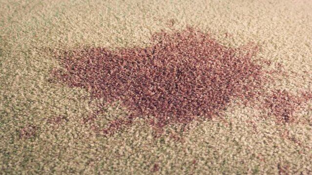Wine Stain On The Rug