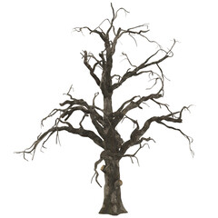Spooky old dead tree, Halloween tree element, seasonal tree