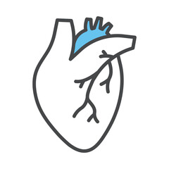 Human heart icon vector on trendy design