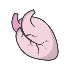 Human heart icon vector on trendy design