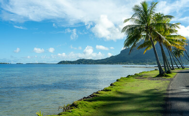 Bora Bora, Palms at Lagoon near Matira Beach
