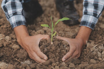 Symbol heart earth day. Handful of dirt hands heart shape. Farm organic earth. Farmer hands soil ground earth dirt garden soil farm ground. Male hands full of fertile land field agriculture concept