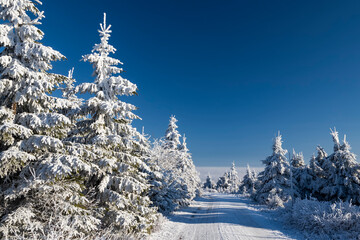 Winter landscape near Velka Destna, Orlicke mountains, Eastern Bohemia, Czech Republic