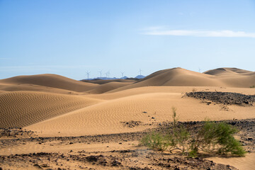 Fototapeta na wymiar sand dunes in the desert