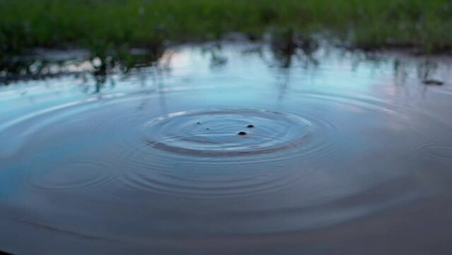 水たまりに雫が落ちて波紋ができる