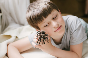 spider is crawling on arm. Simmwall Halloween. terrible female Tarantula.