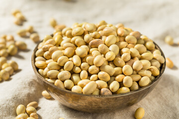 Organic Yellow Mayacoba Beans