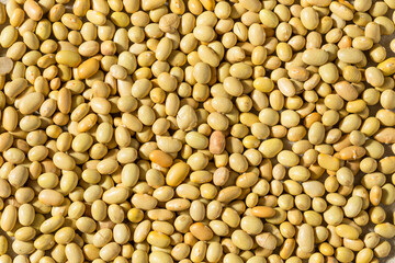 Organic Yellow Mayacoba Beans