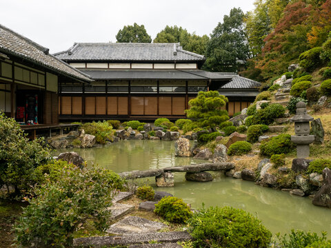 Kyoto, Japan - November 16, 2022: Traditional Japanese garden with pond in Chishakuin temple