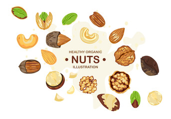 Organic food vector illustration on white background, framed with nuts, pecan, walnut, macadamias, hazelnut, brazil nuts, peanuts, almonds, cashews, pistachios, and text samples.