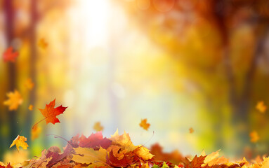 Beautiful autumn landscape . Colorful foliage in the park. Falling  leaves natural background...