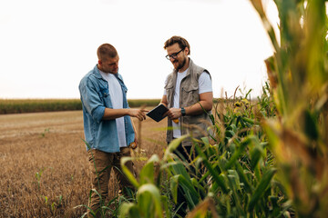 Inspector is talking to farmer about his land.