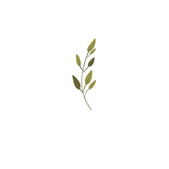 Fototapeta premium Brunch with green leaves, illustration 