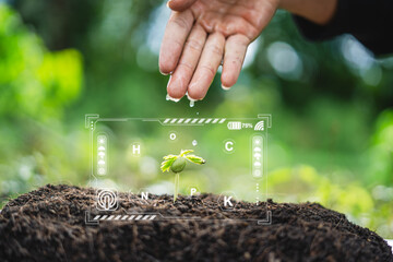 The seedlings are fertile from rich loamy soil and have digital mineral icons required for planting future agriculture Smart farming using modern technology to check soil quality and control. - obrazy, fototapety, plakaty