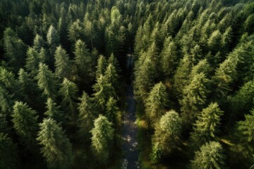 Aerial view of green coniferous forest. Drone photography. Aerial view of forest, AI Generated