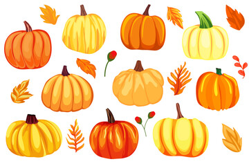  Set of different pumpkins, autumn season, autumn leaves, clip art, cartoon pumpkins for holiday decoration 