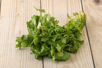 Green coriander leaves herb heap