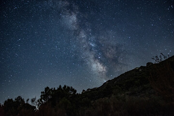 Nighttime photograph of the Milky Way over a horizon of trees.