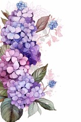 Frame from hydrangea flowers watercolor illustration clipart by hand on white background.