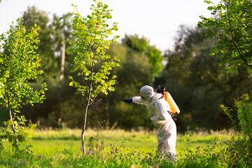 A worker sprays pesticides on trees outdoors. Pest control