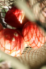 trendy color combination, pink peaches in reusable , mesh bag. Zero waste, eco friendly concept. shopping and grocery style. selective focus 