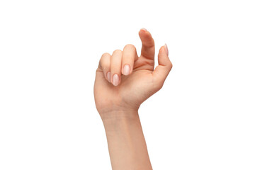 Obraz premium Female hand with pale skin pointing or touching isolated on a white background.