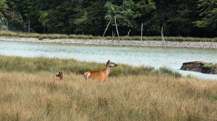 Baby and mother look out