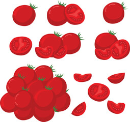 Set of different tomatoes on white background. Tomato Slices,tomato Vector