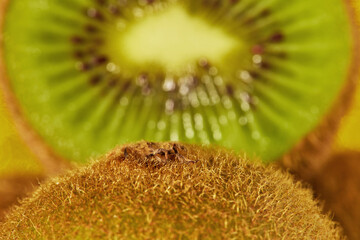 ripe sweet and sour cut kiwi fruit