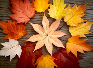 Autumn Hues in Harmony: Stunning Design