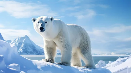 Fotobehang A breathtaking shot of a Polar Bear his natural habitat, showcasing his majestic beauty and strength. © pvl0707